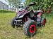 PROMAX SPORT - PRO 180 (2025)